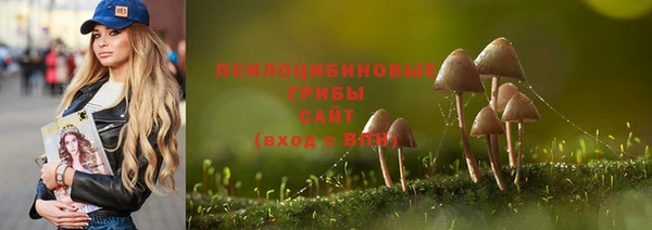 PSILOCYBIN Верхний Тагил