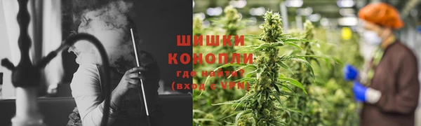 PSILOCYBIN Верхний Тагил